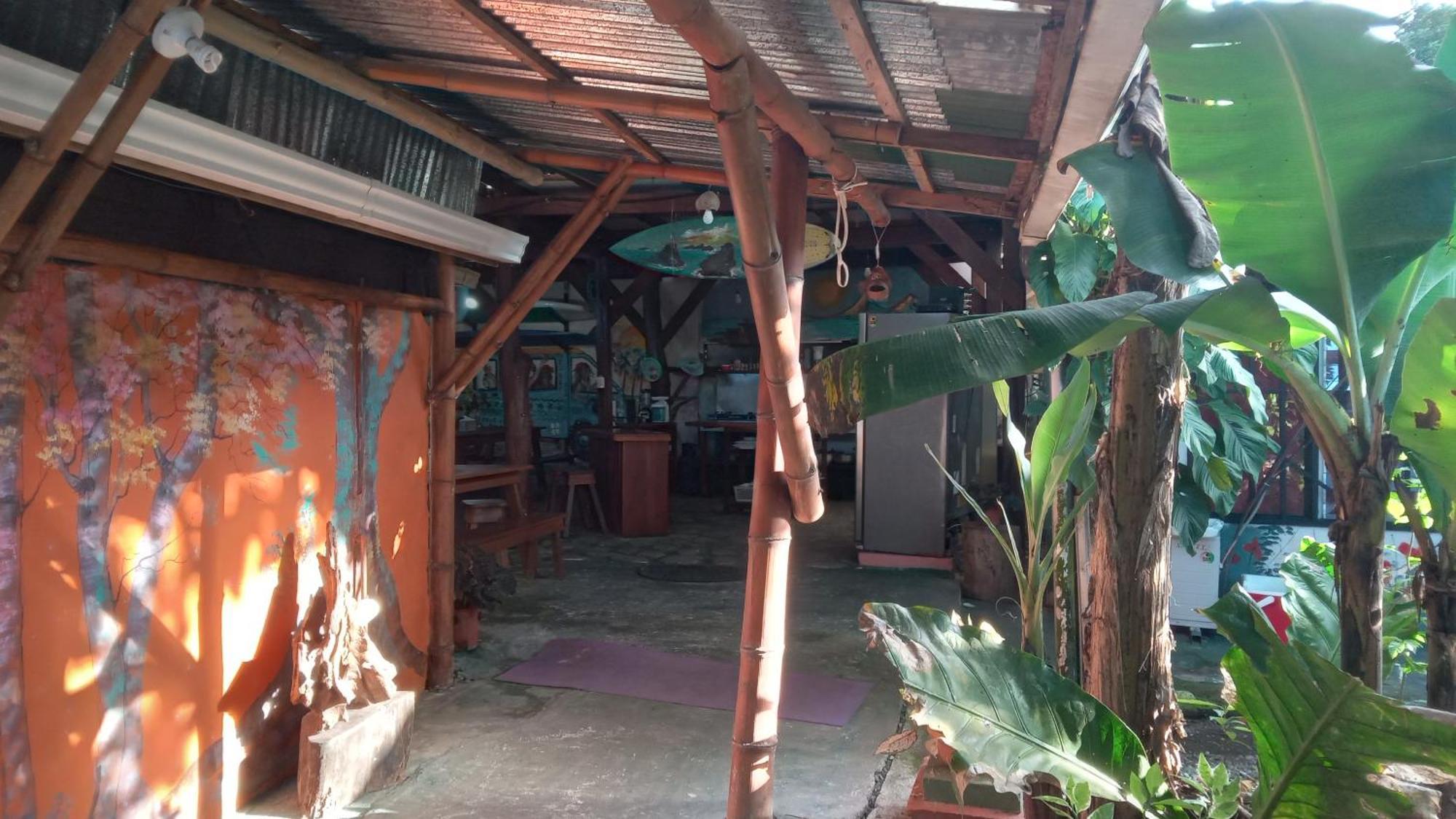 מלון Puerto Jiménez Osa Surf House מראה חיצוני תמונה