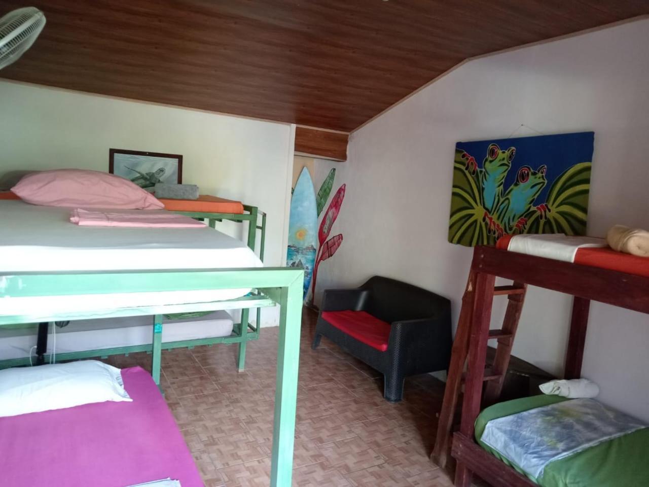 מלון Puerto Jiménez Osa Surf House מראה חיצוני תמונה